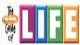 The Game of Life Game