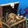 Treasure Masters Inc Game - Free Treasure Masters Inc Game Downloads