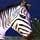 Wildlife Tycoon: Venture Africa Game
