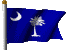 South Carolina state flag