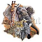 African Animals