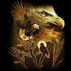 American Eagle Shirt