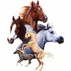 Horses T-Shirt