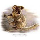 koala t-shirt