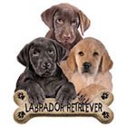 Labrador Retriever Shirt