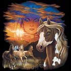 Indian Maiden with Horse Shirt