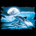 Moon Dolphins Shirt
