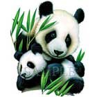 Panda & Cub T-Shirt