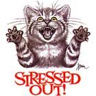 Stressed Out Cat
