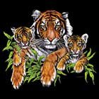 Three Tigers