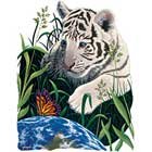 Tiger and Butterfly