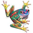 Tree Frog