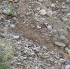 Stones shaking loose