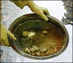 Alluvial gold in pan