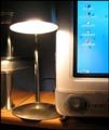 Tillie's desk lamp and computer