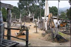 Recreation of goldfields