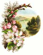 Flowers in meadow