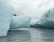 Ice floes