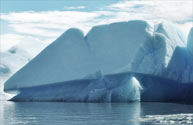 Ice bergs