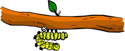 Caterpillar turns round Caterpillar turns round