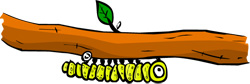 Caterpillar's head is now where its tail was Caterpillar's head is now where its tail was