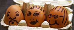 Eggs to eat