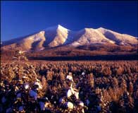 San Francisco peaks in winter