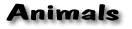 Animal Sites