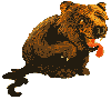 Bear with tail